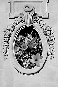 Wall_Art_Alphabet_Photography_Art_ 1708